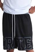 ICONIC MESH SHORTS