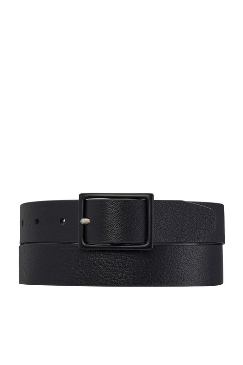 ASSERTION BELT 