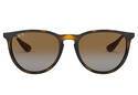 RAYBAN ERIKA