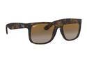 RAYBAN JUSTIN