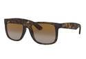 RAYBAN JUSTIN