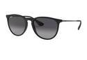 RAYBAN ERIKA RUBBER