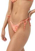 ZADIE FLORAL TIE SIDE HI CUT