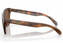 OAKLEY FROGSKINS