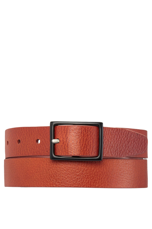 ASSERTION BELT 
