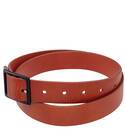 ASSERTION BELT 
