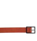 ASSERTION BELT 