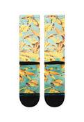 TROPICS WARBIRD
