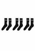 SCRIPTED SOCK 3 PACK
