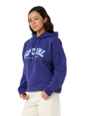 VARSITY HOODIE
