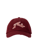 CHECK PLEASE SKATE CAP